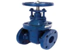 Gate valve DN50